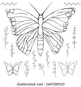 Black-white butterflies and spring branches on a white background. Set of spring elements with insects and plants. Hand drawing. Doodle style.
