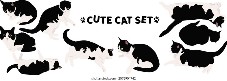 Black-white cat in different poses. A set of cats in different body positions. For printing on fabric, paper.