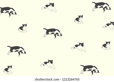 The black&white cats.