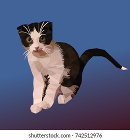 a black-white cute kitten with nice cat's antennae stands and look at you with shine in the eyes. Vector illustration made in popular low poly style.