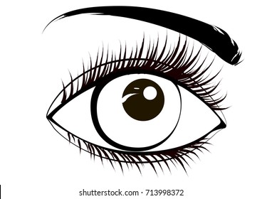 Black-white eye with eyebrow. Vector illustration.