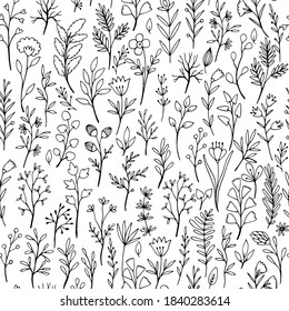 Hand Drawn Wild Flower Seamless Pattern Stock Vector (royalty Free 