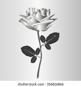 Black,white, gray rose on stem isolated. Vector illustration