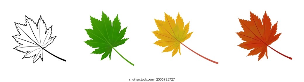 Black-white, Green, yellow, grey maple leaf isolated on white background. Maple leaves in spring, summer, autumn. Vector illustration. 