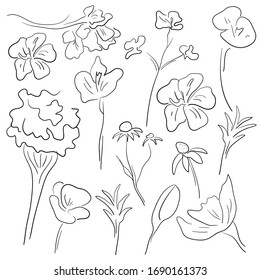 Black-white linear flowers. Vector linear black and white illustration.
