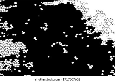 Black-white mockup of abstract shapes. Decorative vector design, mosaic style. Template for your ideas.