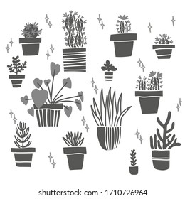 Black-white pattern with home flowers in pots.  Cute cacti and succulents in pots.