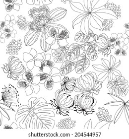 preto-branco padrão sem costura plantas tropicais no fundo branco.ilustração vetor