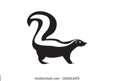 Black-white skunk with fluffy tail on white background