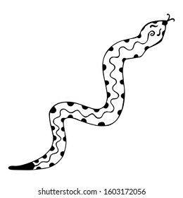 Black-white snake with protruding forked tongue. Isolated coloring book with patterned wriggling reptile. Hand-drawn illustration with monochrome scaly animal. Vector.