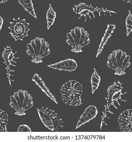 Black-white summer seamless pattern with seashells