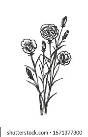 Black-white vector sketch of a bouquet of carnations with petals, buds, stems. Floral pattern for the decor of cards, invitation, spring holidays.
