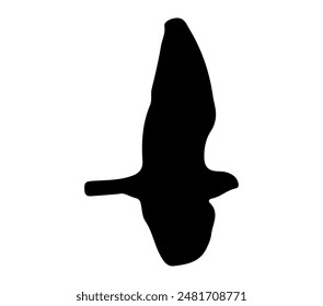 Black-winged Kite silhouette icon. Vector image.