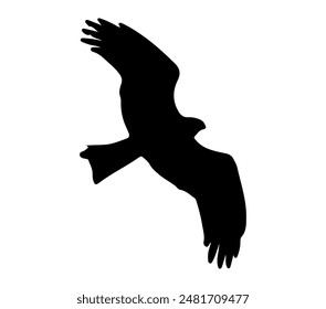 Black-winged Kite vector illustration design art.