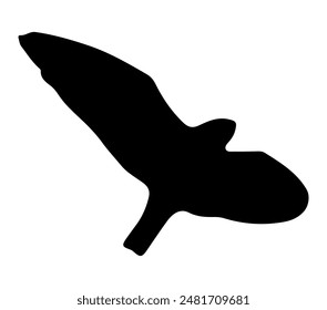 Black-winged Kite. Vector image. White background.