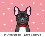Blacky French Bulldog in a red bow costume, he is ready to meet his Valentine's date couple. Vector illustration of a charming black French Bulldog in a red bow costume.