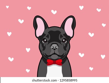 Blacky French Bulldog in a red bow costume, he is ready to meet his Valentine's date couple. Vector illustration of a charming black French Bulldog in a red bow costume.