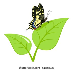 Black-yellow machaon on a green sprout. Vector illustration, isolated on a white.