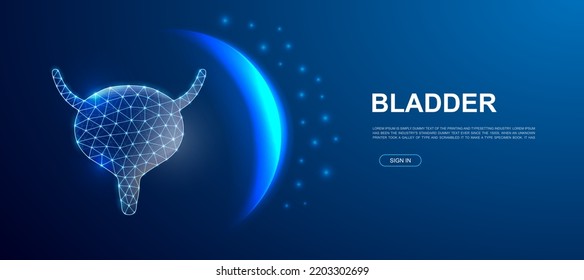 Bladder 3d polygonal symbol for website template. Low poly Organ illustration for homepage design. Reproductive system design illustration concept.