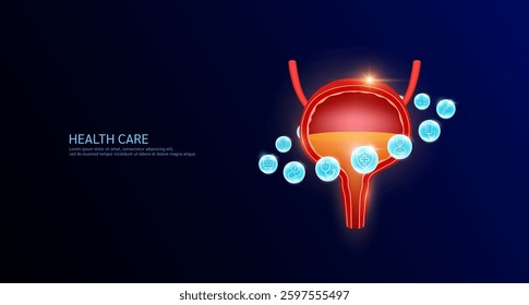 Bladder anatomy with medical icon sign symbol inside glowing ball surrounded. Human organ on dark blue background. Medical science health care concept. Banner Vector.