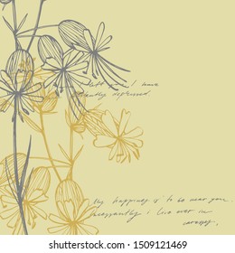 Bladder campion flowers. Set of drawing cornflowers, floral elements, hand drawn botanical illustration. Good for cosmetics, medicine, treating, aromatherapy, nursing, package design, field bouquet