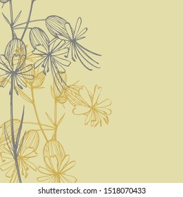 Bladder campion flowers. Set of drawing cornflowers, floral elements, hand drawn botanical illustration. Good for cosmetics, medicine, treating, aromatherapy, nursing, package design, field bouquet