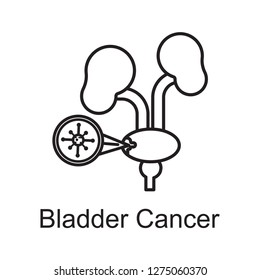 bladder cancer icon outline