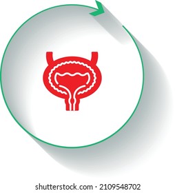 Bladder Cancer treatment recovery icon