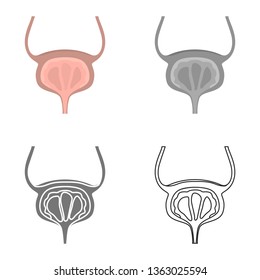 Bladder color flat, line, simple and monochrome icon set