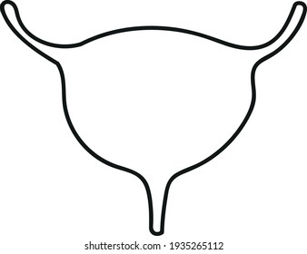 bladder in doodle style organ of  human