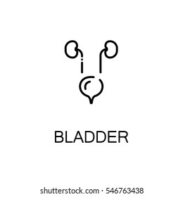Bladder flat icon. Single high quality outline symbol of human body for web design or mobile app. Thin line signs of bladder for design logo, visit card, etc. Outline pictogram of bladder