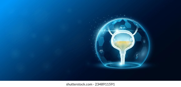 Bladder human organ inside dome shield protection futuristic and medical icon transparent. Technology innovation health care. Medical science ads website banner with empty space for text. Vector.