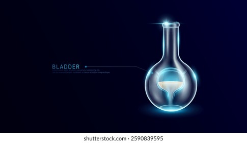 Bladder human transparent in beaker glass sphere test tube on dark blue background. Internal organ anatomy sample medical science experiment. Research genetic scientific concept. Vector EPS10.