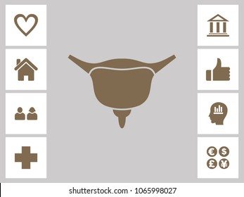 Bladder Icon With Bonus Icons. Eps-10.