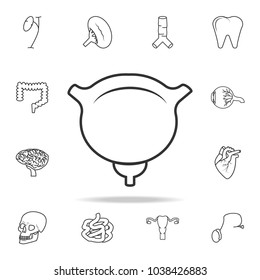 bladder icon. Detailed set of human body part icons. Premium quality graphic design. One of the collection icons for websites, web design, mobile app on white background