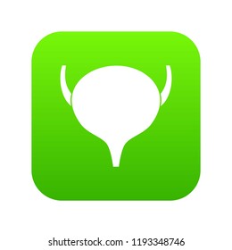 Bladder icon digital green for any design isolated on white vector illustration