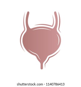 Bladder icon isolated on white background. Vector illustration. Human internal organs.