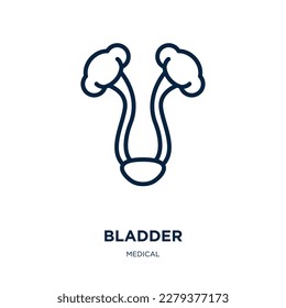 bladder icon from medical collection. Thin linear bladder, medical, anatomy outline icon isolated on white background. Line vector bladder sign, symbol for web and mobile