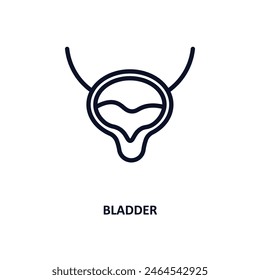 bladder icon. Thin line bladder icon from medical and healthcare collection. Outline vector isolated on white background. Editable bladder symbol can be used web and mobile