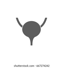 Bladder icon in trendy flat style isolated on white background. Symbol for your web site design, logo, app, UI. Vector illustration, EPS