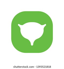 bladder icon. Vector illustration. Organ icon vector