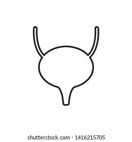 bladder icon. Vector illustration. Organ icon vector