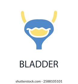 bladder icon. vector.Editable stroke.linear style sign for use web design,logo.Symbol illustration.
