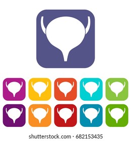 Bladder icons set vector illustration in flat style in colors red, blue, green, and other