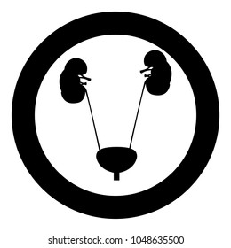 Bladder and kidney it is the black color icon  in circle or round