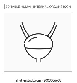 Bladder line icon. Stores urine from kidneys. Diuretic system.Body parts. Human internal organs concept.Isolated vector illustration.Editable stroke
