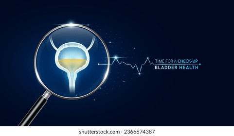 Bladder in magnifying glass with scan search. Health care medical check up too innovative futuristic digital technology. Body health checkup examining organ and blue glowing neon heart pulse. Vector.