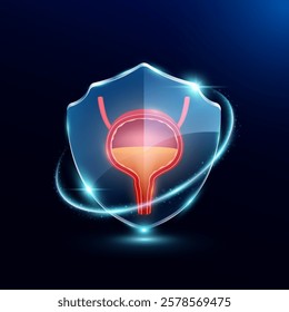 Bladder in translucent glass shield modern. Surrounded by glowing ring safety guardian. Human anatomy organ on blue background. Medical health care immunity and protection concept. Vector EPS10.