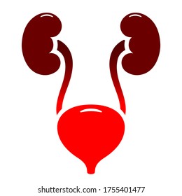 Bladder And Urinary Tract Infection Vector Icon On White Background