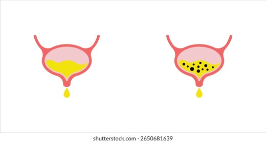 Bladder vector icon and symbol design, vector illstration